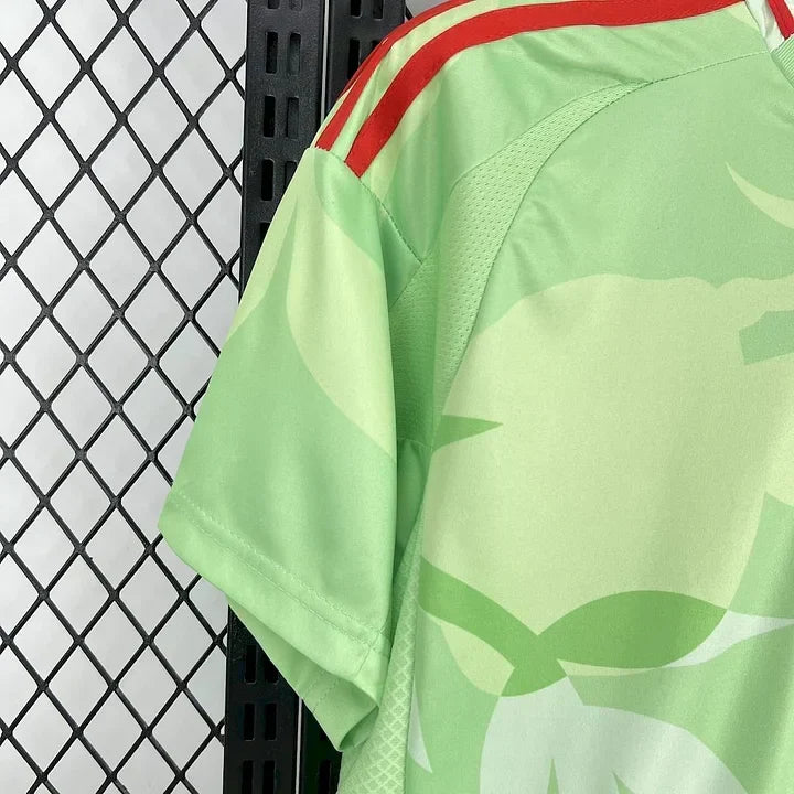 Maillot Italie Vert et Rouge 25/26
