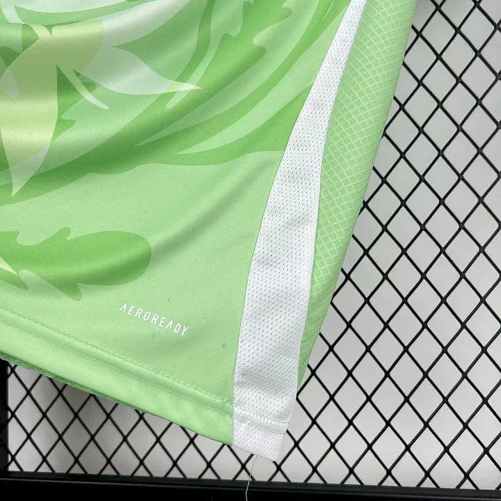 Maillot Italie Vert et Rouge 25/26