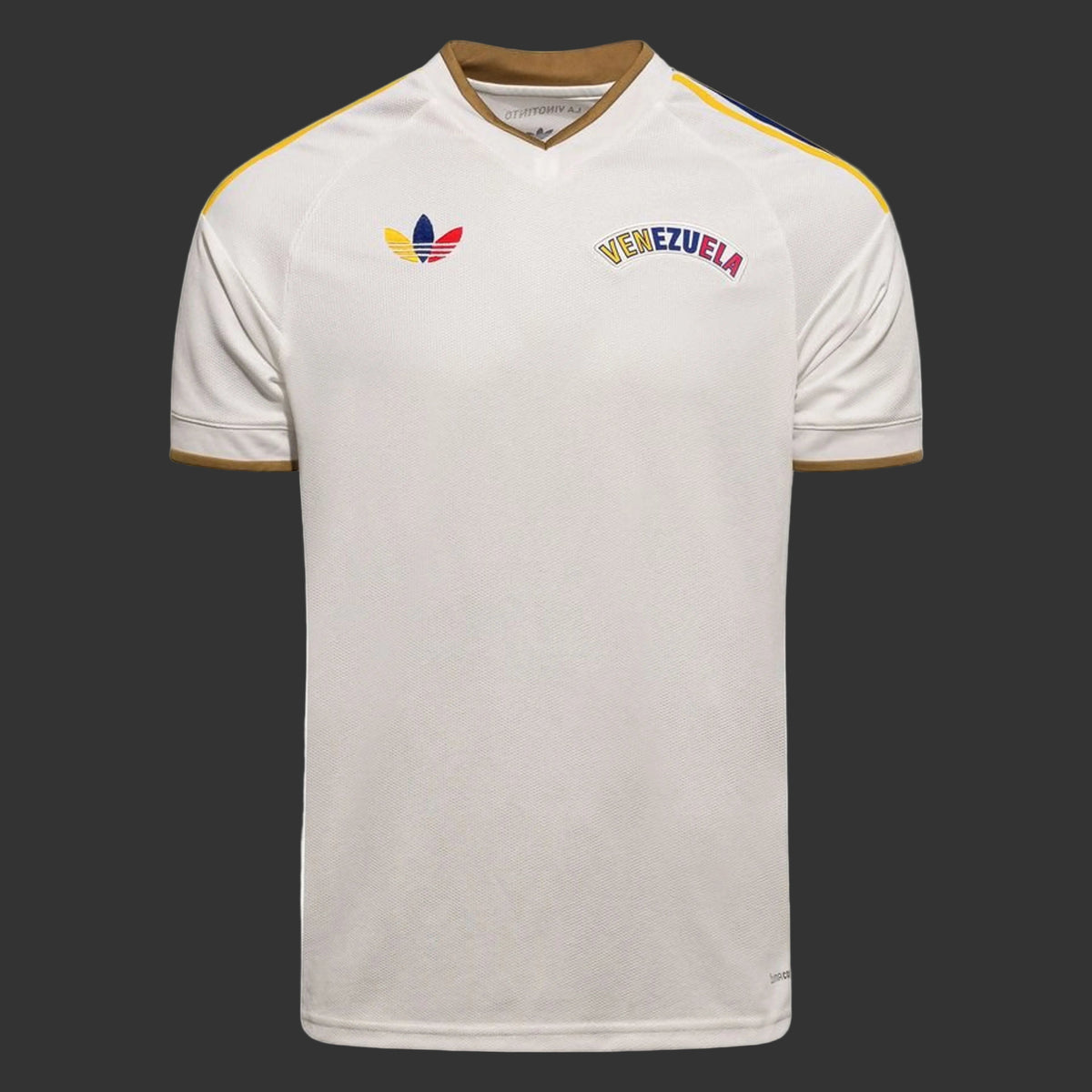Maillot Venezuela Extérieur Coupe Du Monde 2026/2027